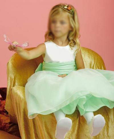 Brand New Flower Girl Dresses FG084 (Brand New Flower Girl Dresses FG084)