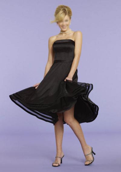 bridesmaid gown LR105 (LR105 robe de demoiselle d`honneur)