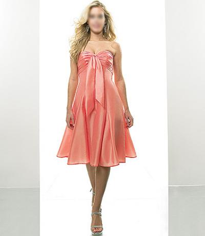 Brand New Prom Dresses/Dress PM081