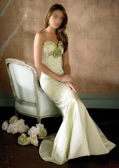 Brand New Evening Dresses WL052 (Brand New Evening Dresses WL052)