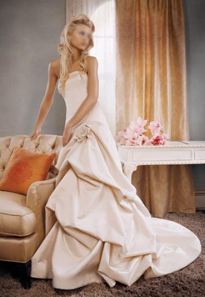 Brand New Wedding Dresses/Gown BG051 (Brand New Wedding Dresses / robe BG051)