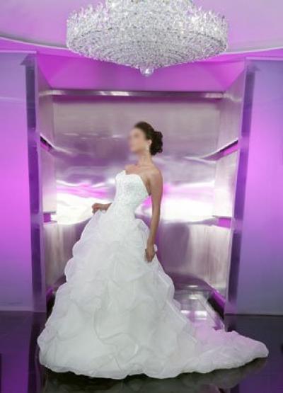 Wedding Dress/Bridal Dress HS145 (Свадебные платья / Свадебные платья HS145)