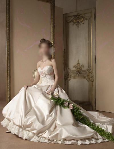 Wedding Dress/Dresses/Bridal Dress BG024