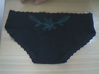 seamless panties (transparente culotte)