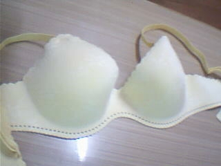 one piece bra (Soutien-gorge d`une seule pièce)