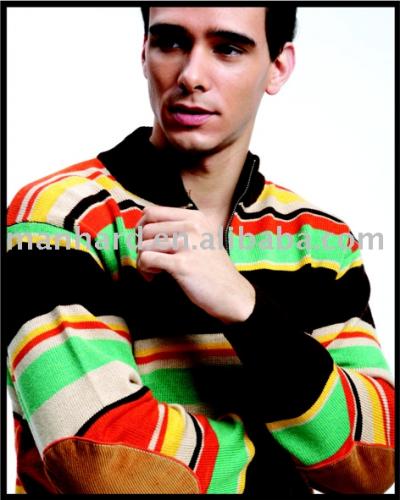 Men`s Sweater (Men`s Sweater)