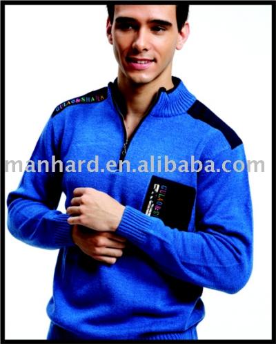 Men`s Sweater (Men`s Sweater)