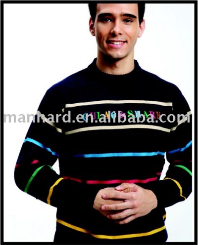 Men`s Sweater (Men`s Sweater)