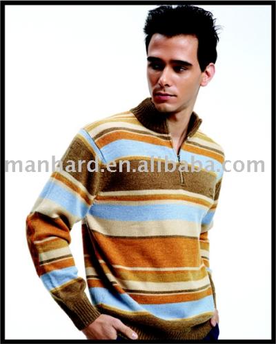 Men`s Sweater (Men`s Sweater)