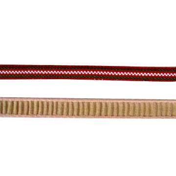 SPRING RIBBON (SPRING RIBBON)