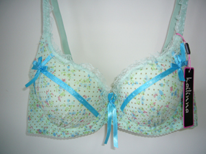 bra