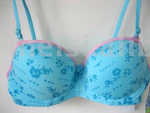 bra