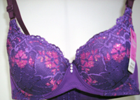 new style bra