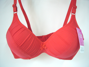 ladies` underwear