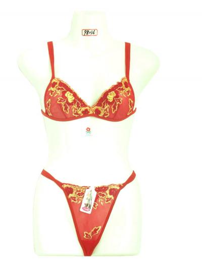 Sexy bras and panties (Soutiens-gorge et culotte sexy)