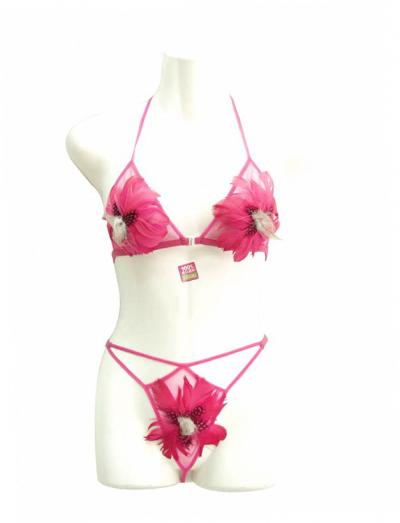 sexy bras (soutiens-gorge sexy)