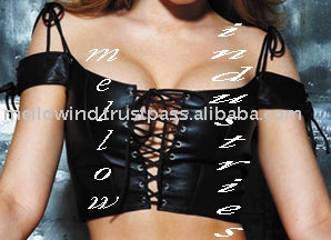 Bustier, Party Costumes, Club Wear (Bustier, Party Costumes, Club Wear)