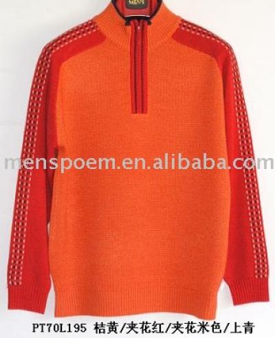 Men `s Pullover (Men `s Pullover)