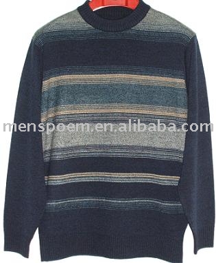 Men `s Pullover (Men `s Pullover)