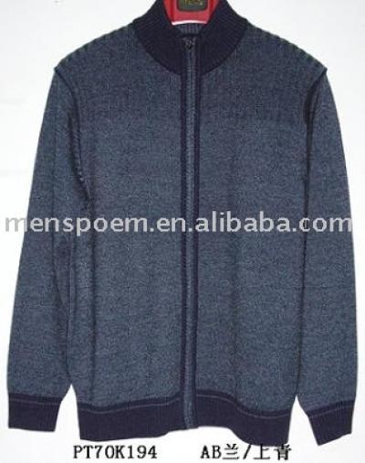 Men `s Pullover (Men `s Pullover)