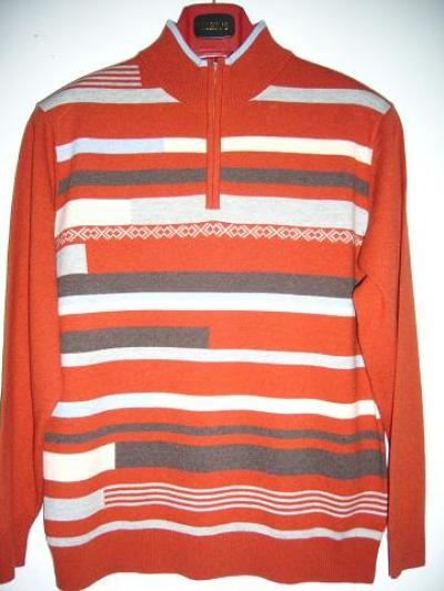 sweater (Pullover)