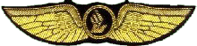 Hand Made Bullion Wire Embroidered Wings (Hand Made Bullion Wire Embroidered Wings)
