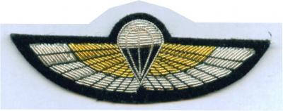 Bullion Embroidery Military Uniform Wings (Bullion Embroidery Military Uniform Wings)
