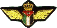 Bullion Embroidered Military Wings (Bullion Embroidered Military Wings)