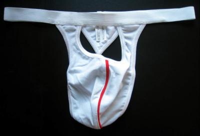 men`s sexy briefs (Men `s sexy Slips)