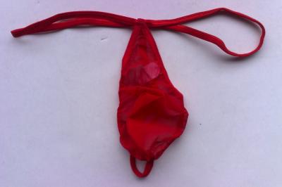 men`s sexy briefs (Men `s sexy Slips)