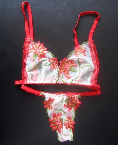 [super deal] sexy bra set ([super deal] sexy bra set)