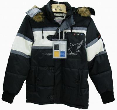 Men`s Jacket (Men`s Jacket)