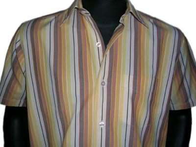 D. K. Stripe 018 Shirts