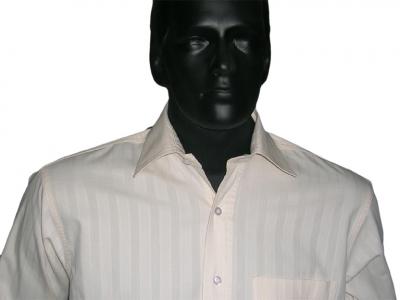 D. K. Stripe 002 Shirts