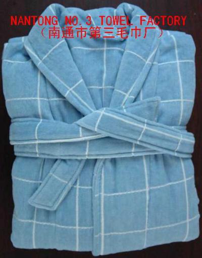 bathrobe (bathrobe)