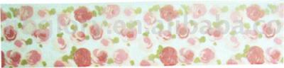 ribbon (ruban)