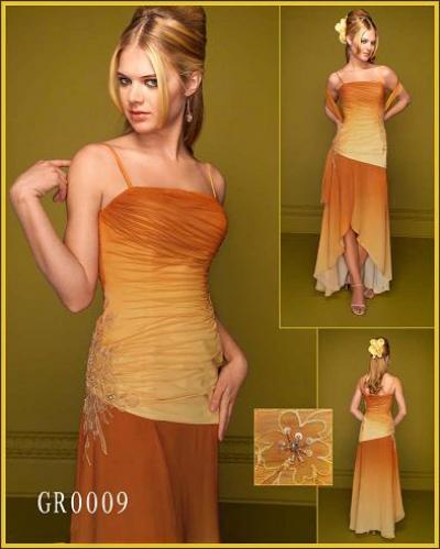 Evening Dress (Evening Dress)