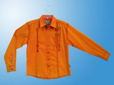 long sleeve man`s leisure shirt (long sleeve man`s leisure shirt)