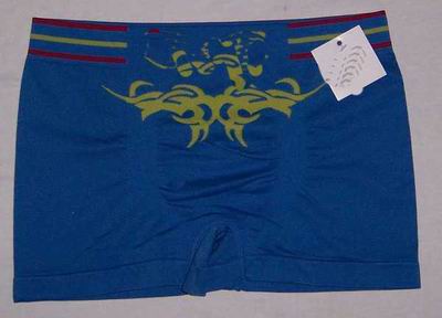 underwear (underwear)