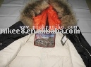 women`s designer jackets, top brand winter jackets (women`s designer jackets, top brand winter jackets)