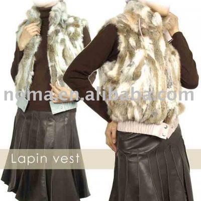 Fur vest garment women clothing (La fourrure du vêtement des femmes veste vêtements)