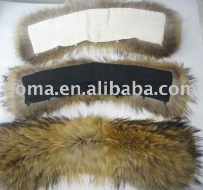 raccoon collar (raccoon collar)