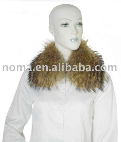 raccoon collar (raccoon collar)