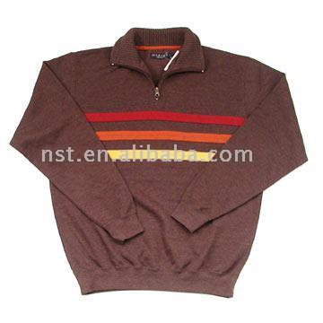 Men`s Pullover (Men`s Pullover)