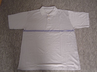 men`s polo t-shirt