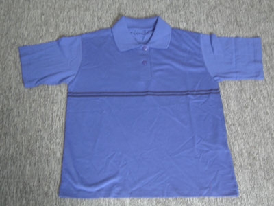 men`s polo t-shirt