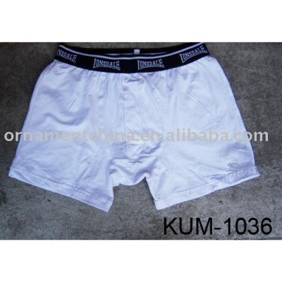 Ladies Briefs