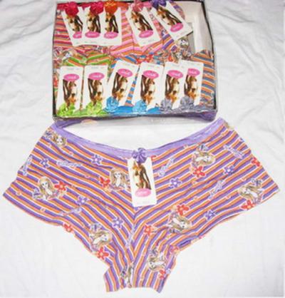 Ladies` Underwear Stock (Ladies` Underwear Stock)
