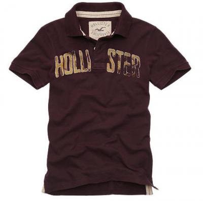 2008 newest brand T-shirt in brown (2008 newest brand T-shirt in brown)