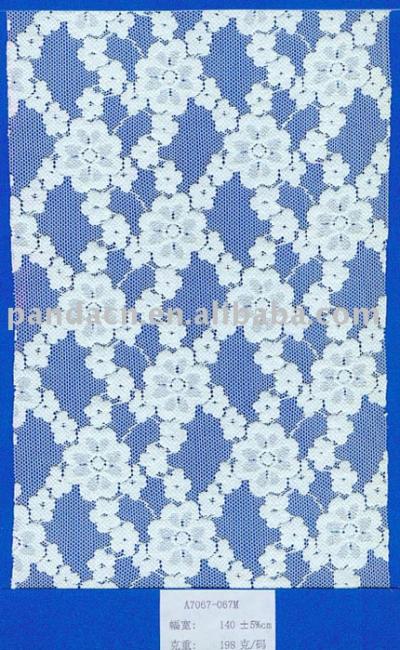 elastic lace (elastic lace)